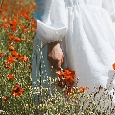 عسل معماری