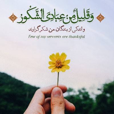 گـُلـِـ🌺ـنـَـرگـِـسـ🌿ــ