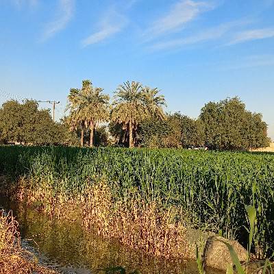 مریم جاسم زاده