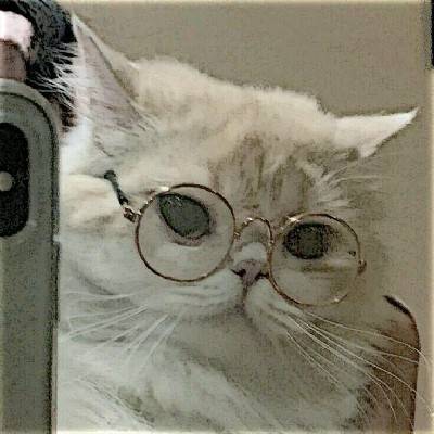 Tara 