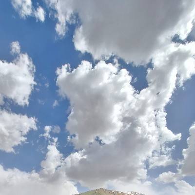 علی 