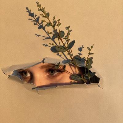 مائده 
