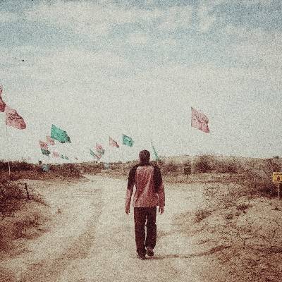 محسن 