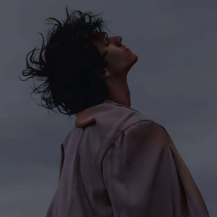 fatemeh salimi
