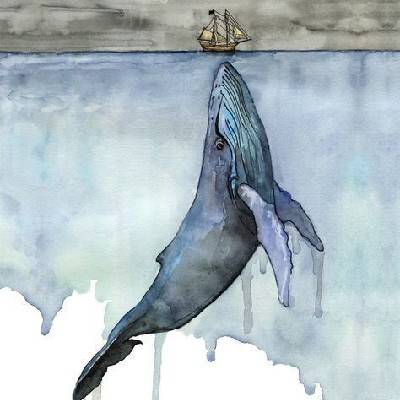 مبینا نظری