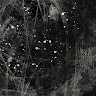 dark ehsan