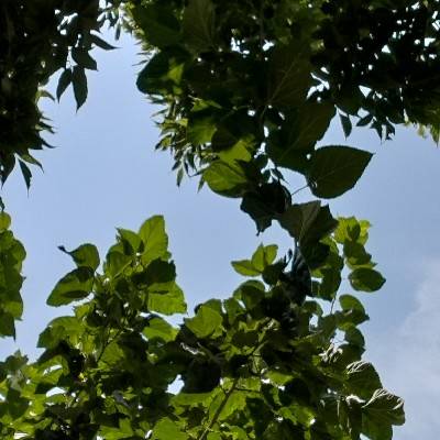 ام باران ☔️ رئیس میرزایی