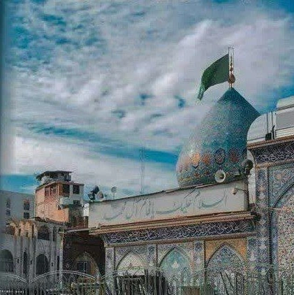 نسـتـࢪن شریفی 