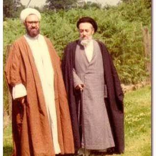 Amir Reza