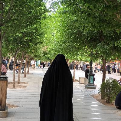 نرگس شیرین جانی