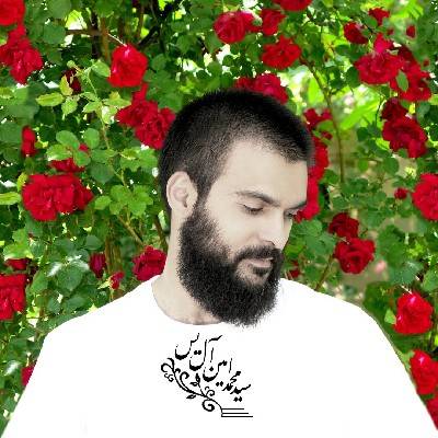 سیدمحمدامین آل‌یس