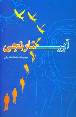 مجموعه داستان آبی - تارنجی