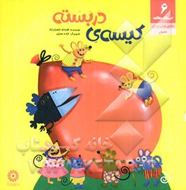 کیسه ی دربسته