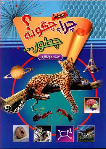 چرا؟ چگونه؟ چطور ...