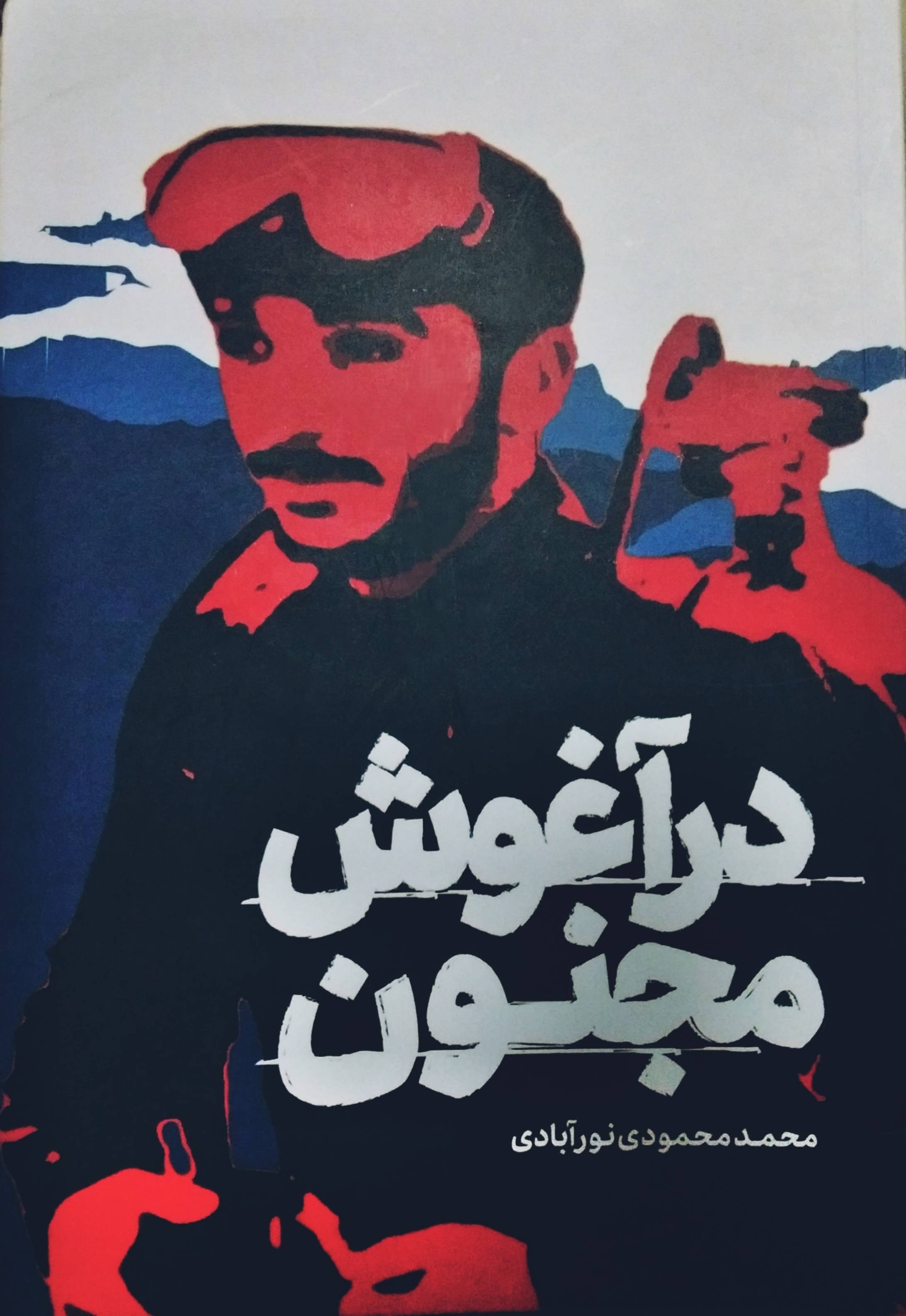در آغوش مجنون: مجموعه خاطرات هاشم و مجتبی شیخی