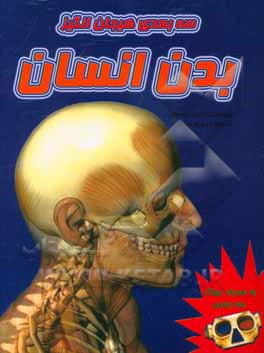 بدن انسان