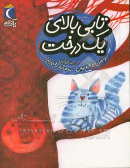 تابی بالای یک درخت