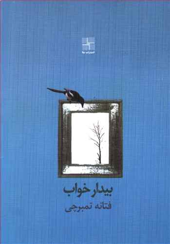 بیدار خواب (مجموعه داستان)