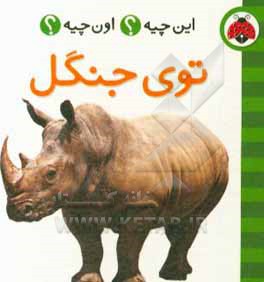 توی جنگل
