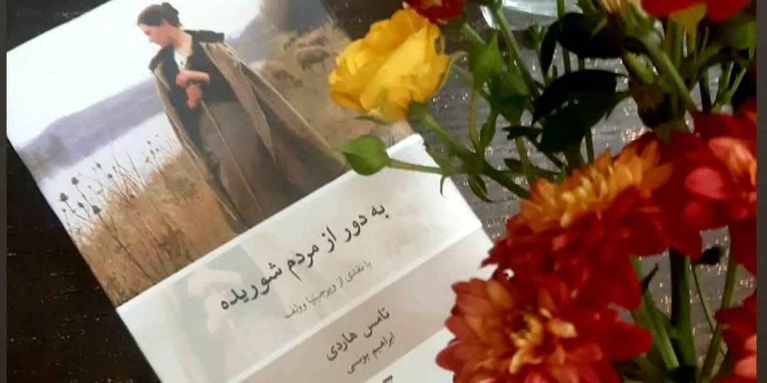 "نیمی از ل