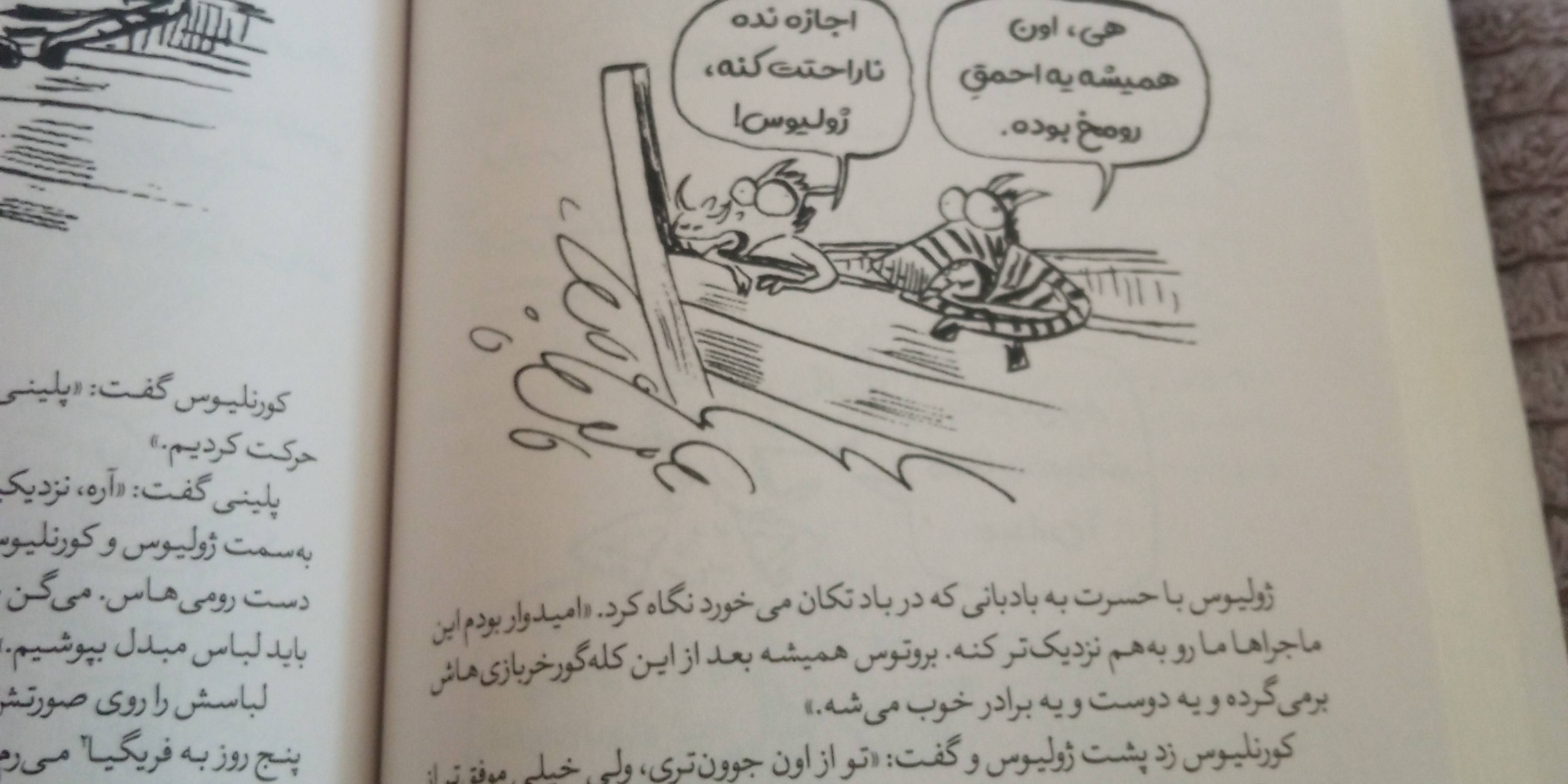 بروتوس همی