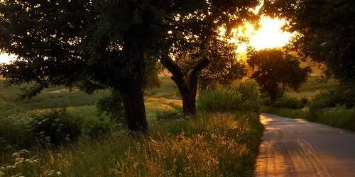 با توجه به