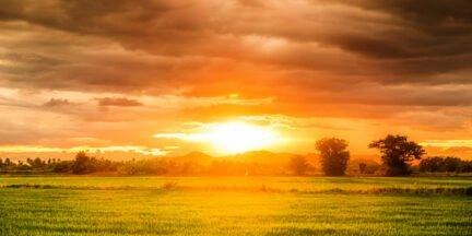 این آشفته‌