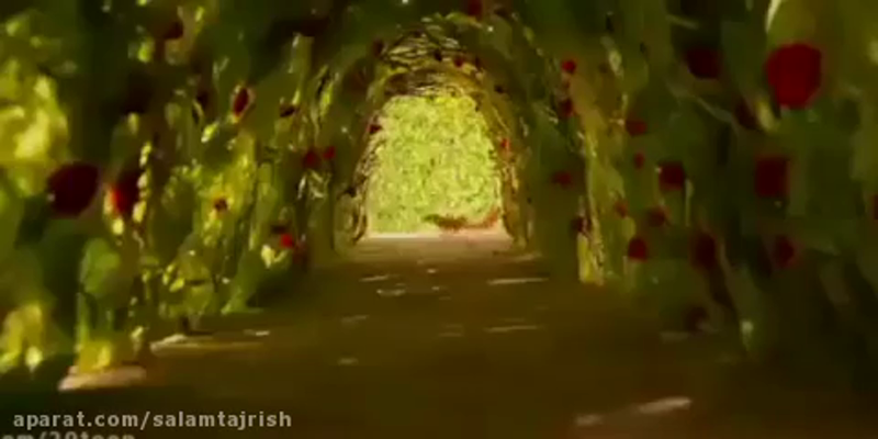 ویدئو در بهخوان